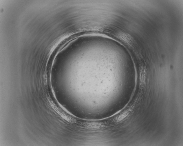 X0000057100924200509231712