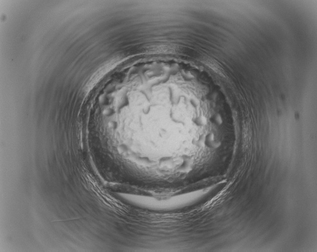 X0000057100925200509231712