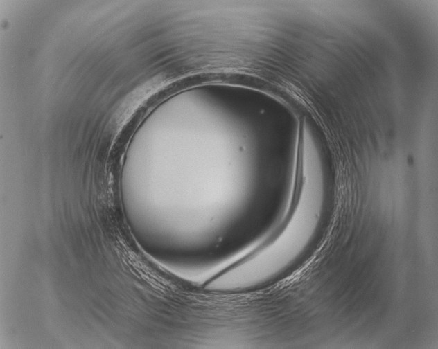 X0000057100926200509231712