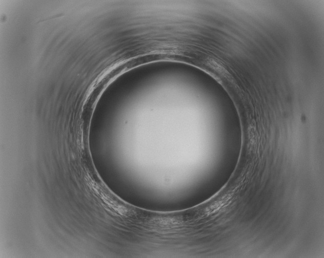 X0000057100931200509231712