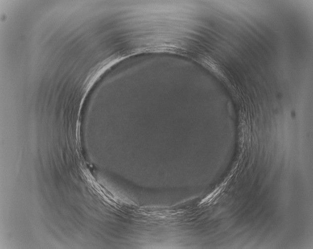 X0000057100932200509231712