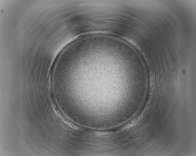 X0000057100933200509231712