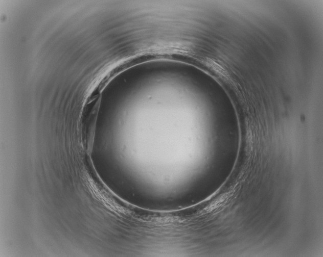 X0000057100934200509231712