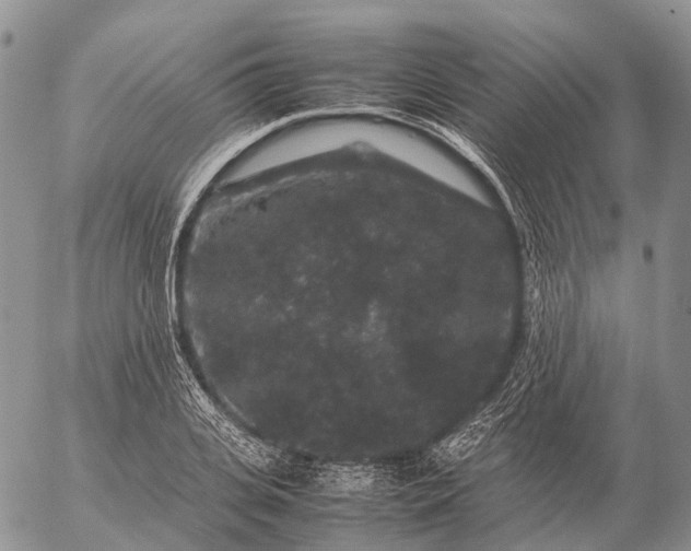 X0000057100935200509231712