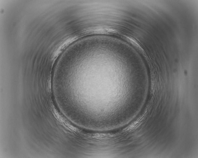 X0000057100938200509231712