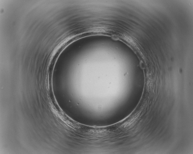 X0000057100939200509231712