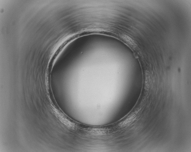 X0000057100942200509231712