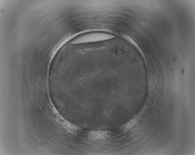 X0000057100943200509231712