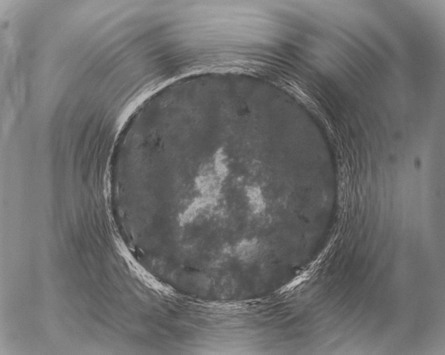 X0000057100944200509231712