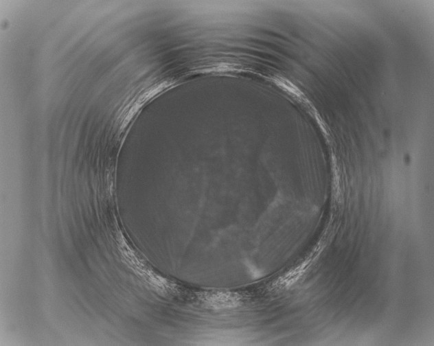 X0000057100945200509231712