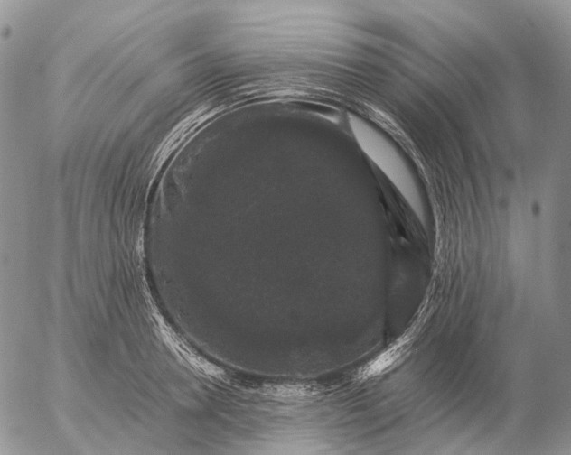 X0000057100946200509231712