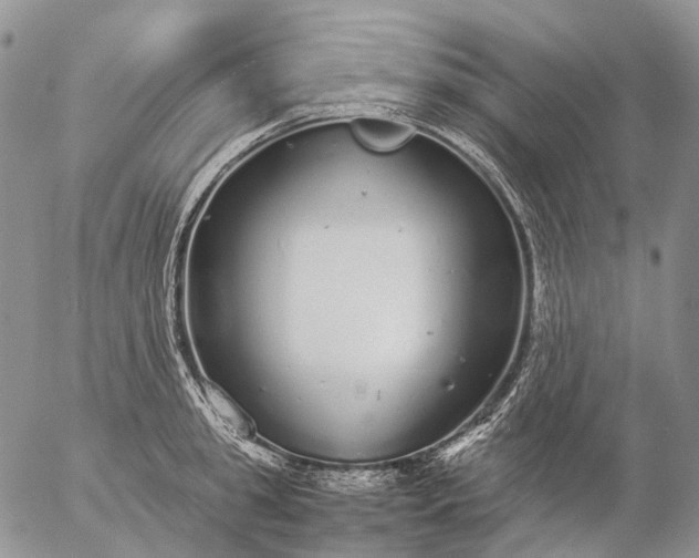 X0000057100949200509231712