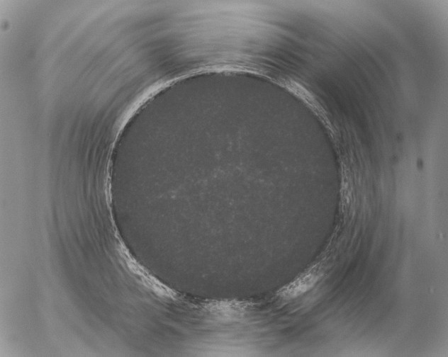 X0000057100950200509231712