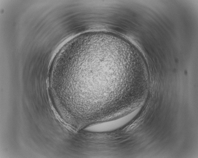 X0000057100951200509231712