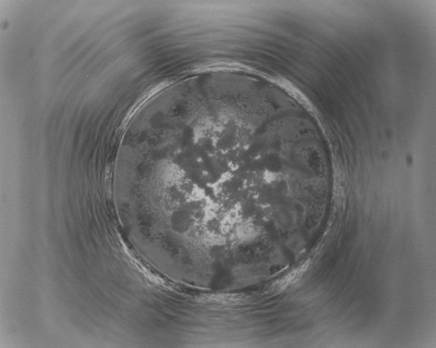 X0000057100953200509231712