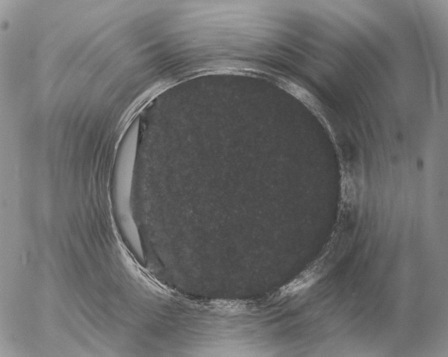 X0000057100954200509231712