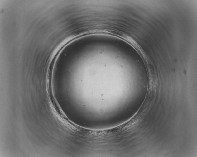 X0000057100955200509231712