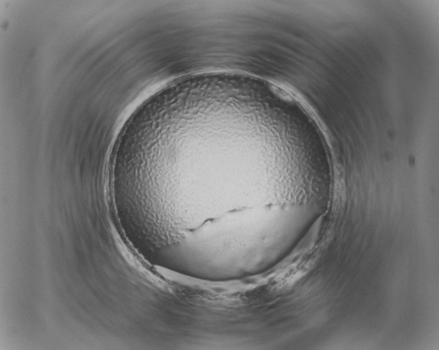 X0000057100957200509231712