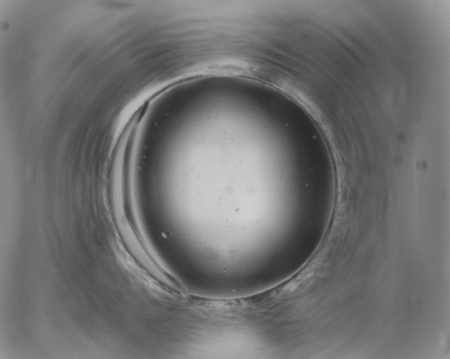 X0000057100960200509231712