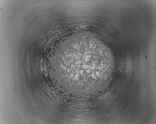 X0000057100962200509231711