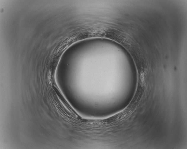 X0000057100963200509231711