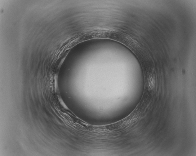 X0000057100964200509231711