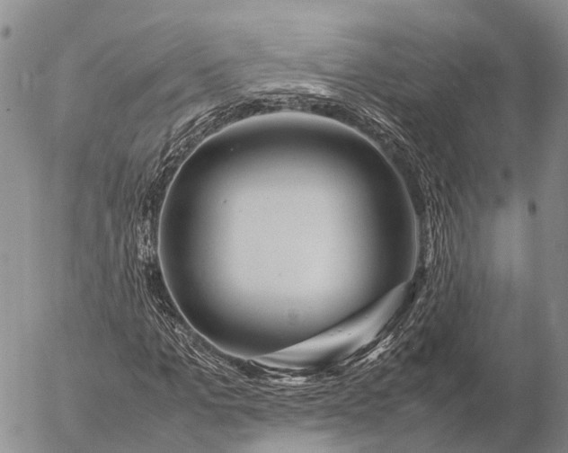 X0000057100965200509231711