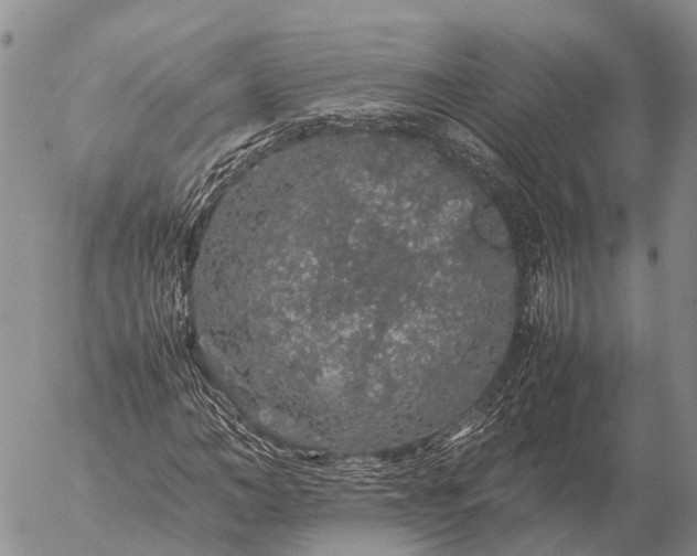 X0000057100966200509231711