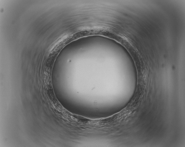 X0000057100967200509231711