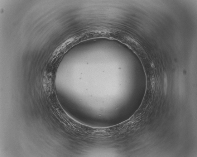 X0000057100968200509231711