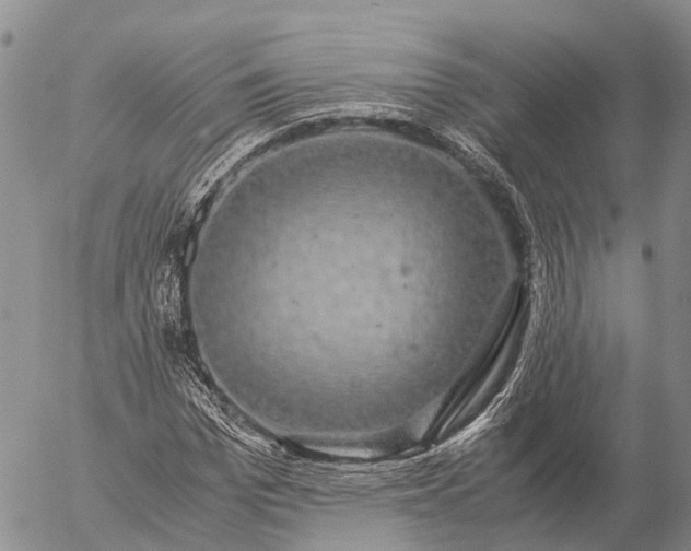 X0000057100969200509231711