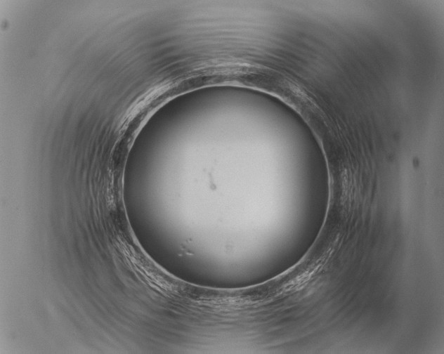 X0000057100970200509231711