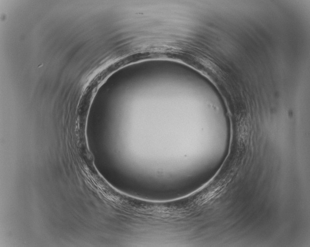 X0000057100971200509231711