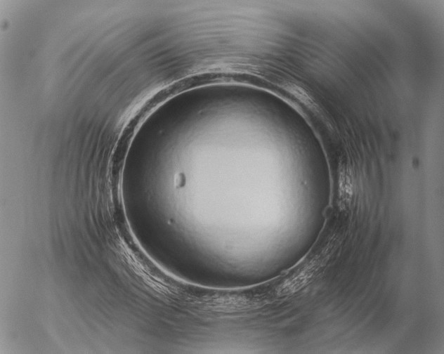 X0000057100972200509231711