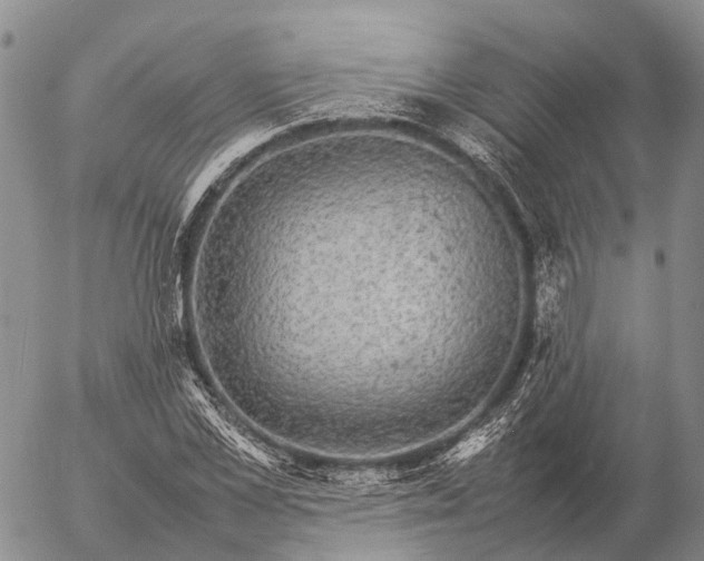 X0000057100973200509231711