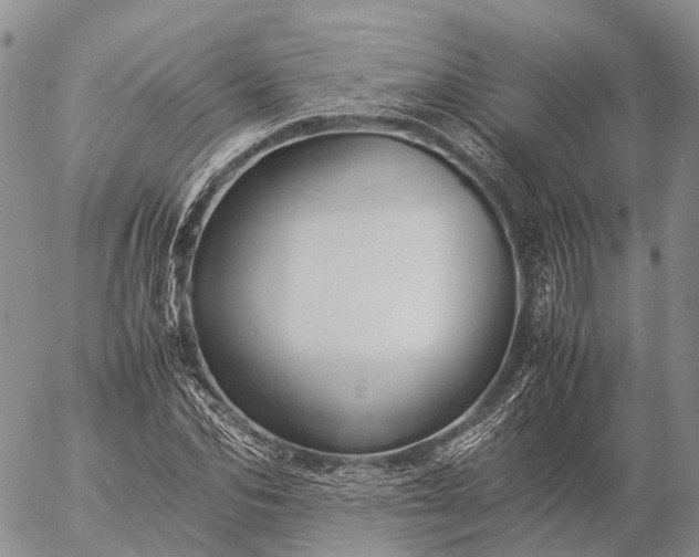 X0000057100974200509231711