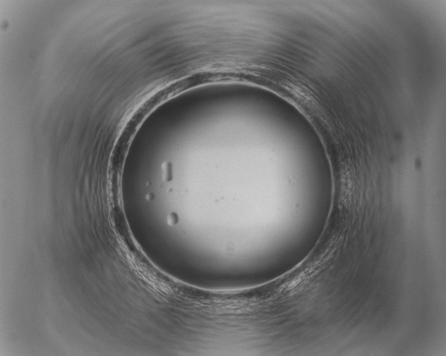 X0000057100976200509231711