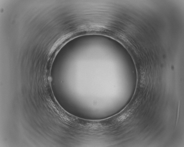 X0000057100978200509231711