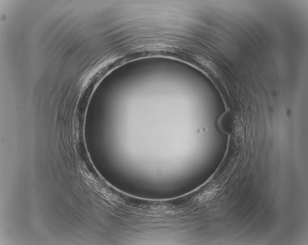 X0000057100979200509231711