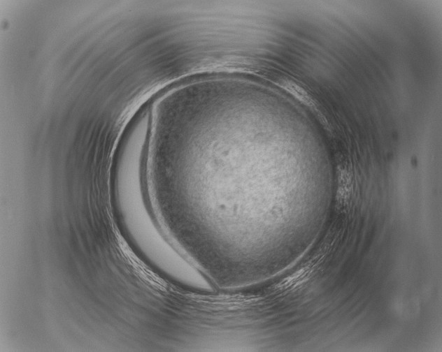 X0000057100980200509231711