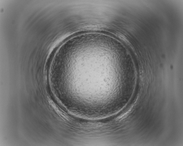 X0000057100981200509231711