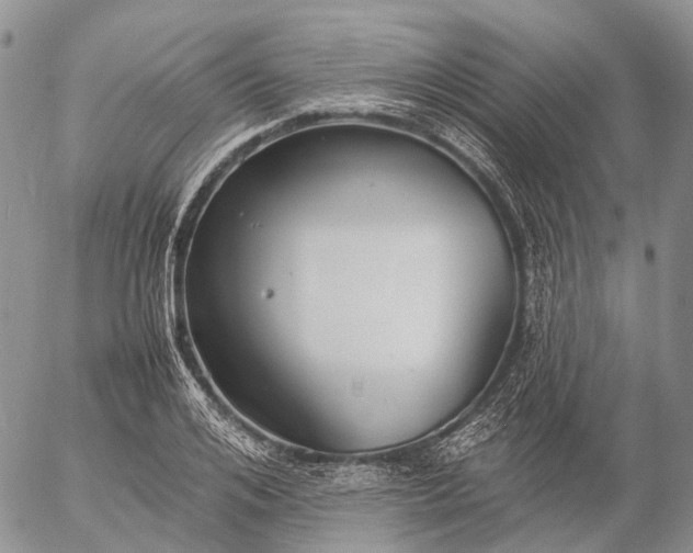 X0000057100984200509231711