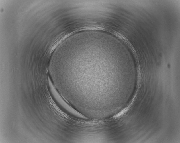 X0000057100985200509231711