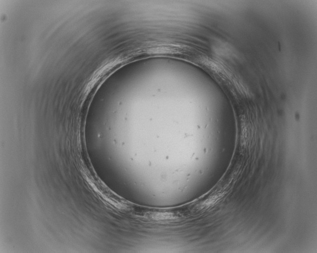 X0000057100986200509231711