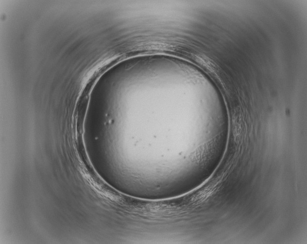 X0000057100987200509231711