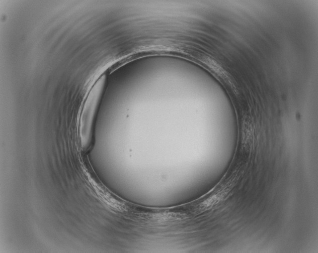 X0000057100988200509231711