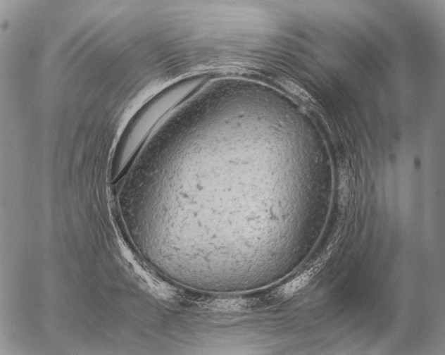 X0000057100989200509231711