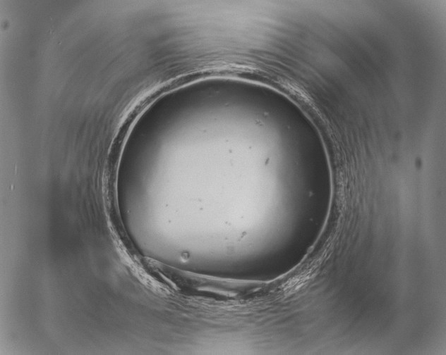 X0000057100991200509231711