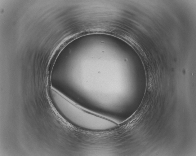 X0000057100992200509231711