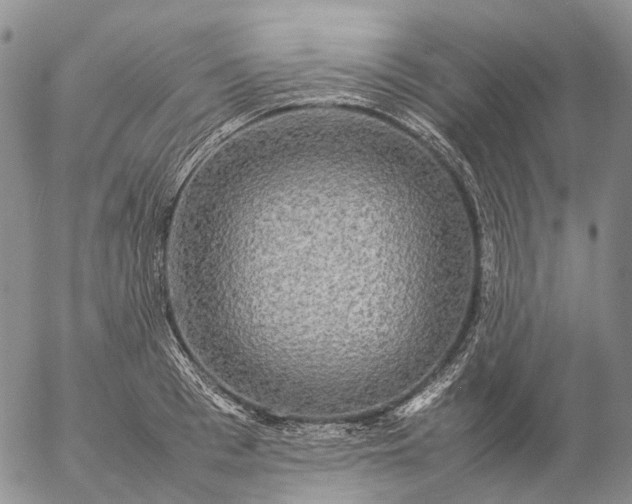 X0000057100993200509231711